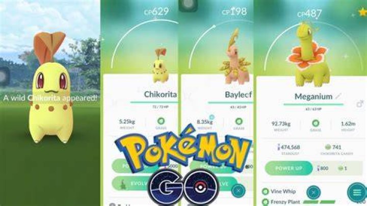 Where to find chikorita in pokemon go